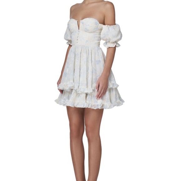 NWOT Adeirlina summer in Tuscany dress - Picture 6 of 10